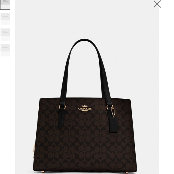 COACH Carryall 40 In Signature Tote New Without Tags - Picture 2 of 4